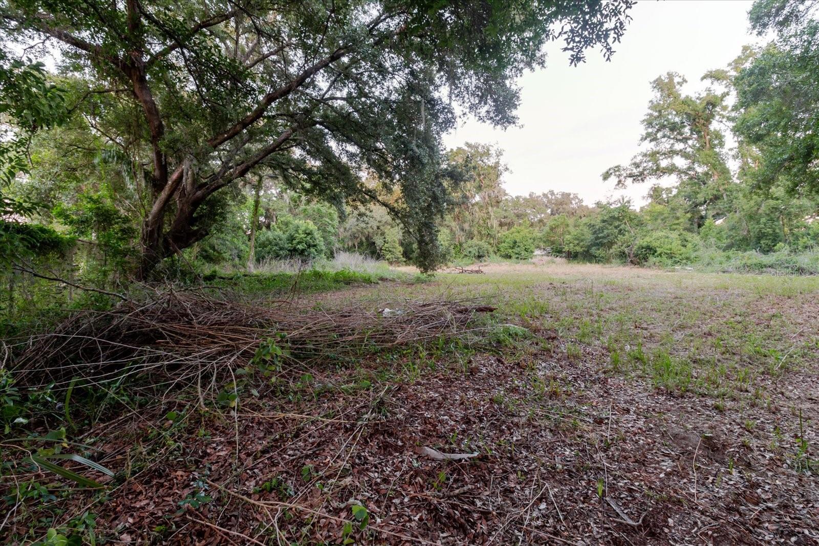 UNPLATTED - Land
