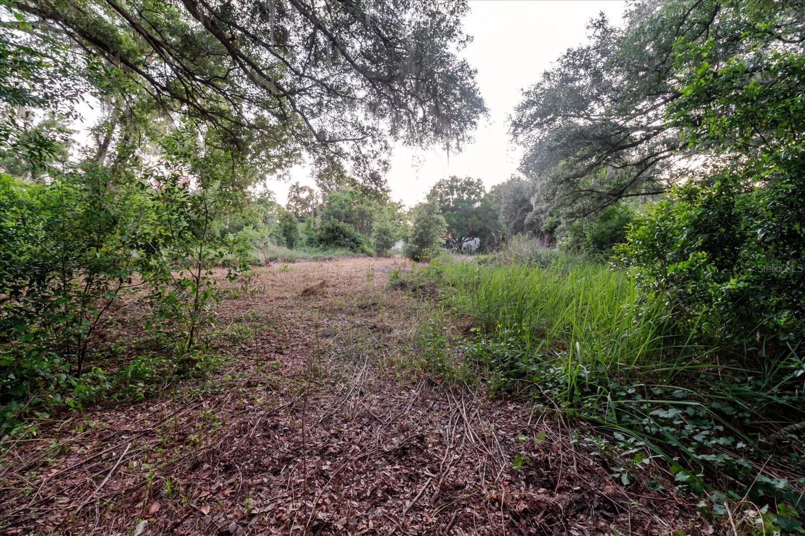 UNPLATTED - Land