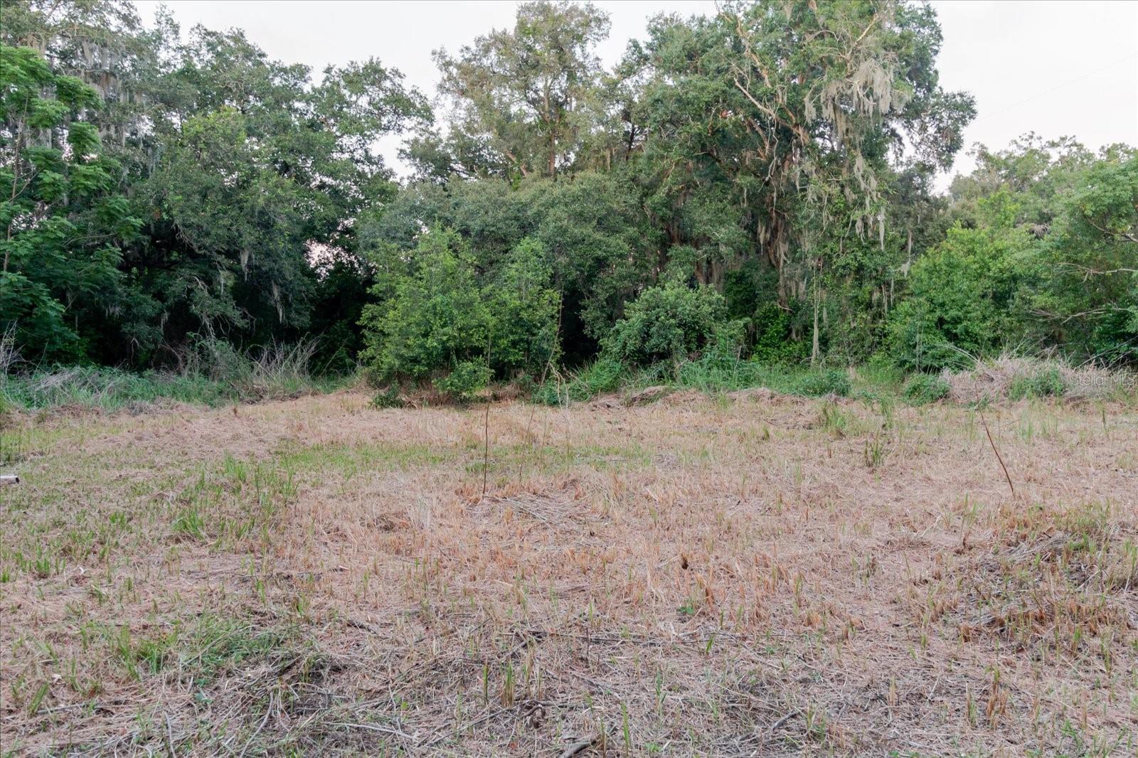 UNPLATTED - Land
