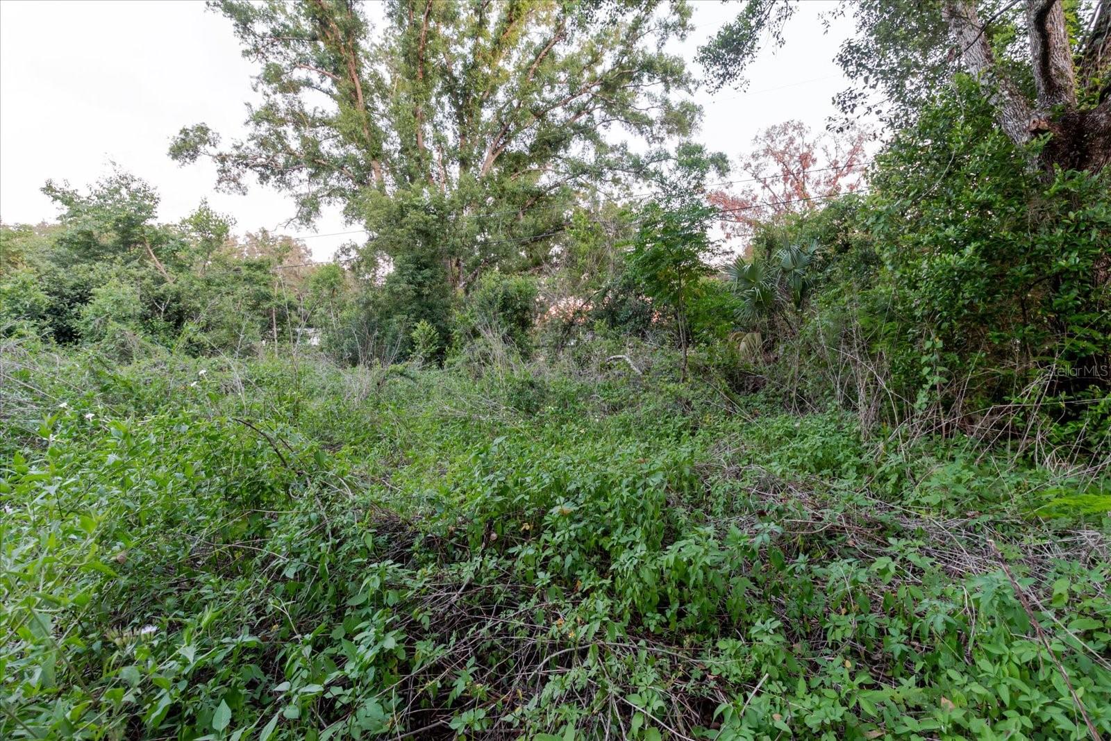UNPLATTED - Land
