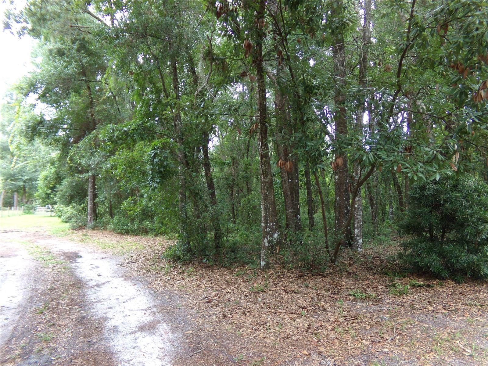 CROOM-A-COOCHEE ESTATES - Residential