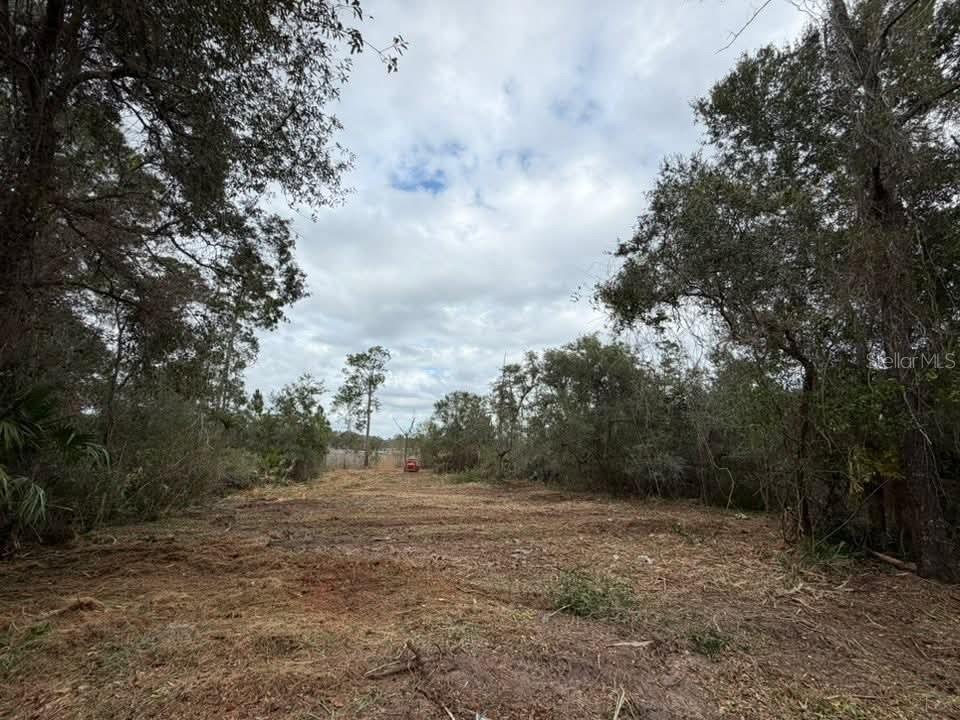 FRST HILLS - Land