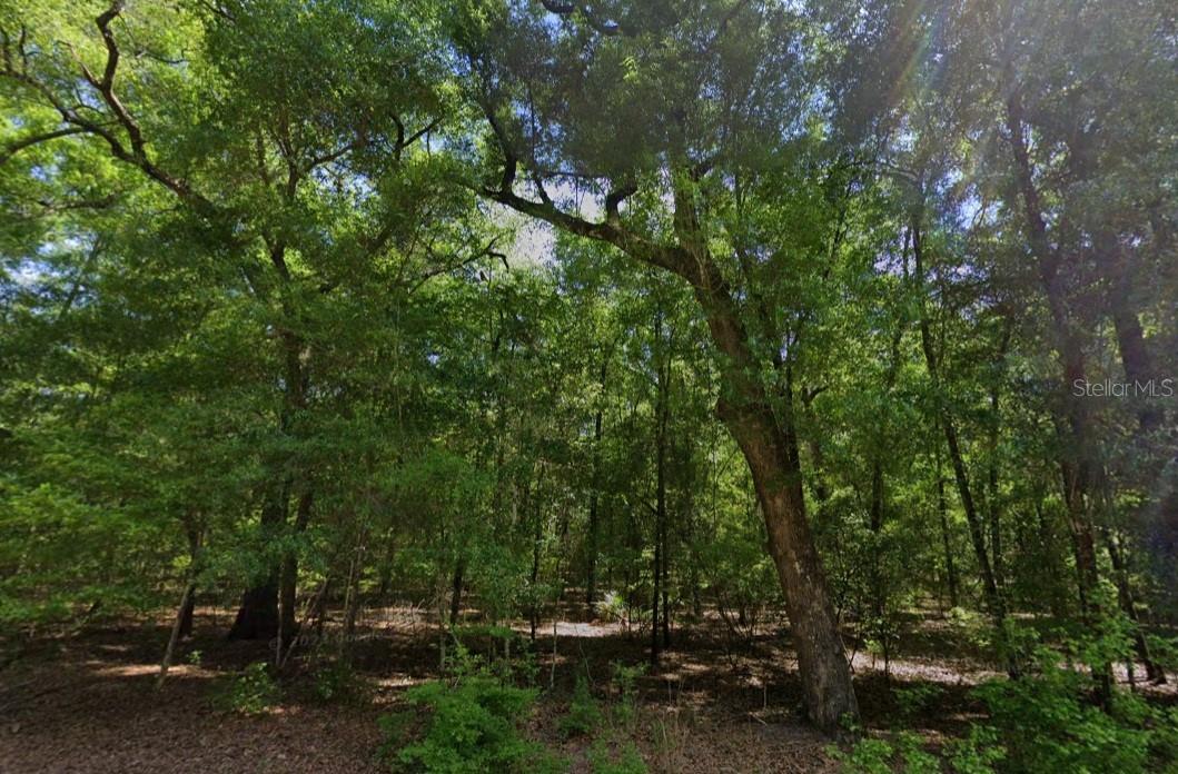 WILLOW BEND SUB - Land