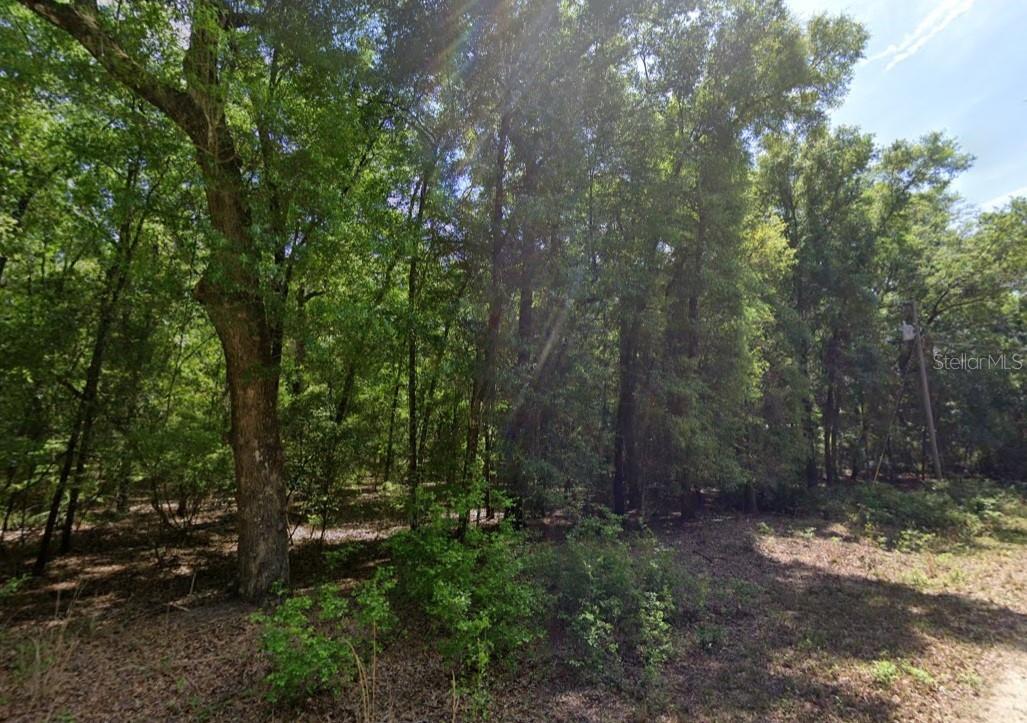 Discover the perfect blend of privacy, space, and small-town charm with this beautiful 1-acre homesite in Lee, Florida. Whether you're looking to build your dream home, establish a weekend retreat, or invest in North Florida land, this property offers endless possibilities with plenty of room for your home, workshop, garden, and outdoor recreation. Enjoy the peaceful rural atmosphere while remaining conveniently close to the Suwannee River, Madison Blue Spring State Park, and the world-famous freshwater springs that make this region a haven for boating, kayaking, fishing, and outdoor adventures. Just a short drive to Madison and Interstate 10, you'll have easy access to shopping, dining, schools, and everyday conveniences while enjoying the tranquility of country living. Don't miss this opportunity to own a spacious slice of Florida paradise in a rapidly growing area known for its natural beauty and recreational opportunities.