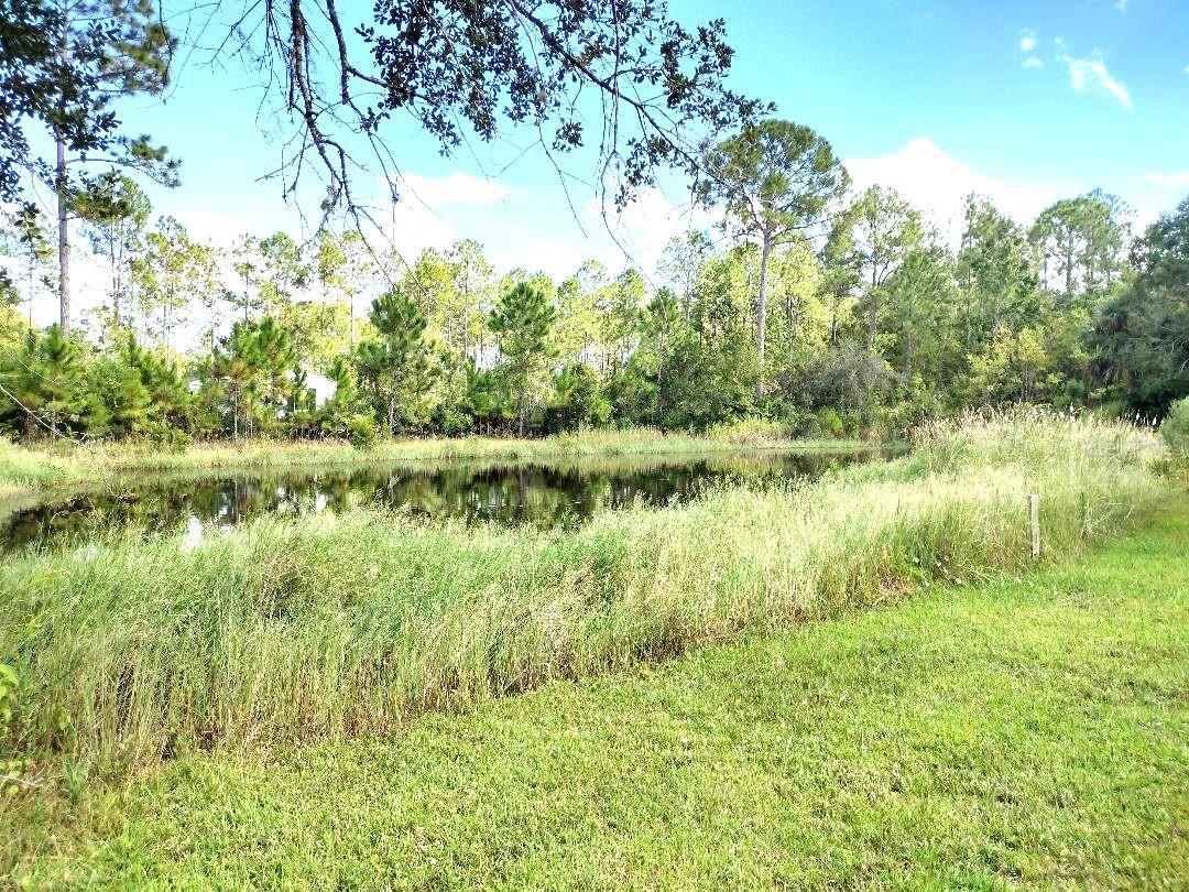 DAYTONA NORTH - Residential