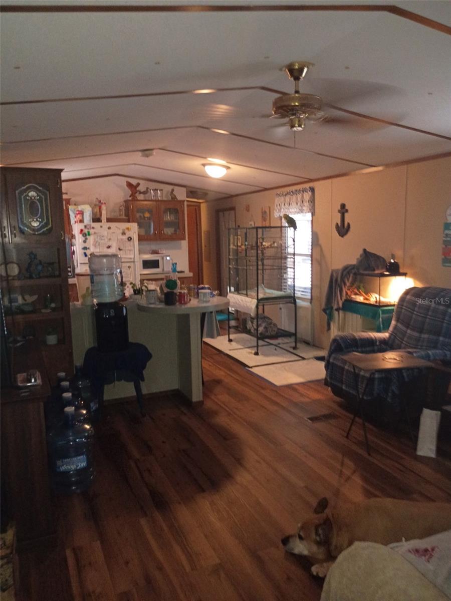 CHIPPEWA CHIEF HAMMOCK - Residential