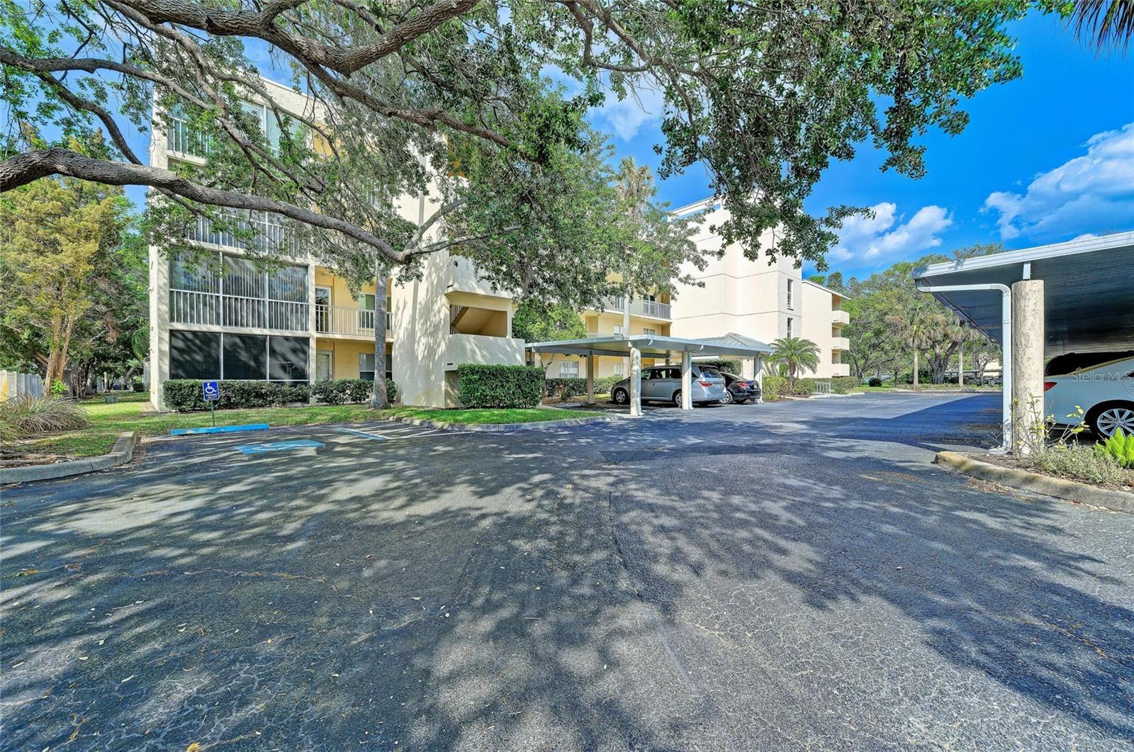 THE ARBORS AT PINEBROOK PH II - Residential