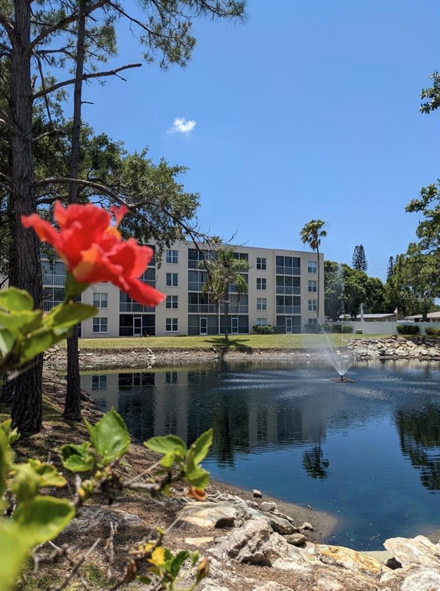 THE ARBORS AT PINEBROOK PH II - Residential