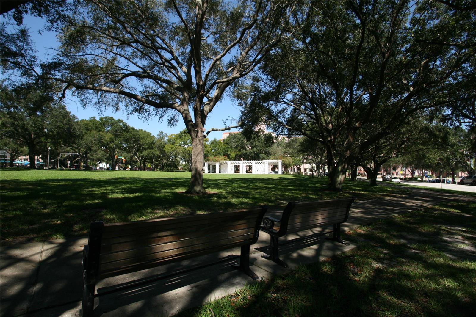 MADISON AT ST PETE - Residential Lease