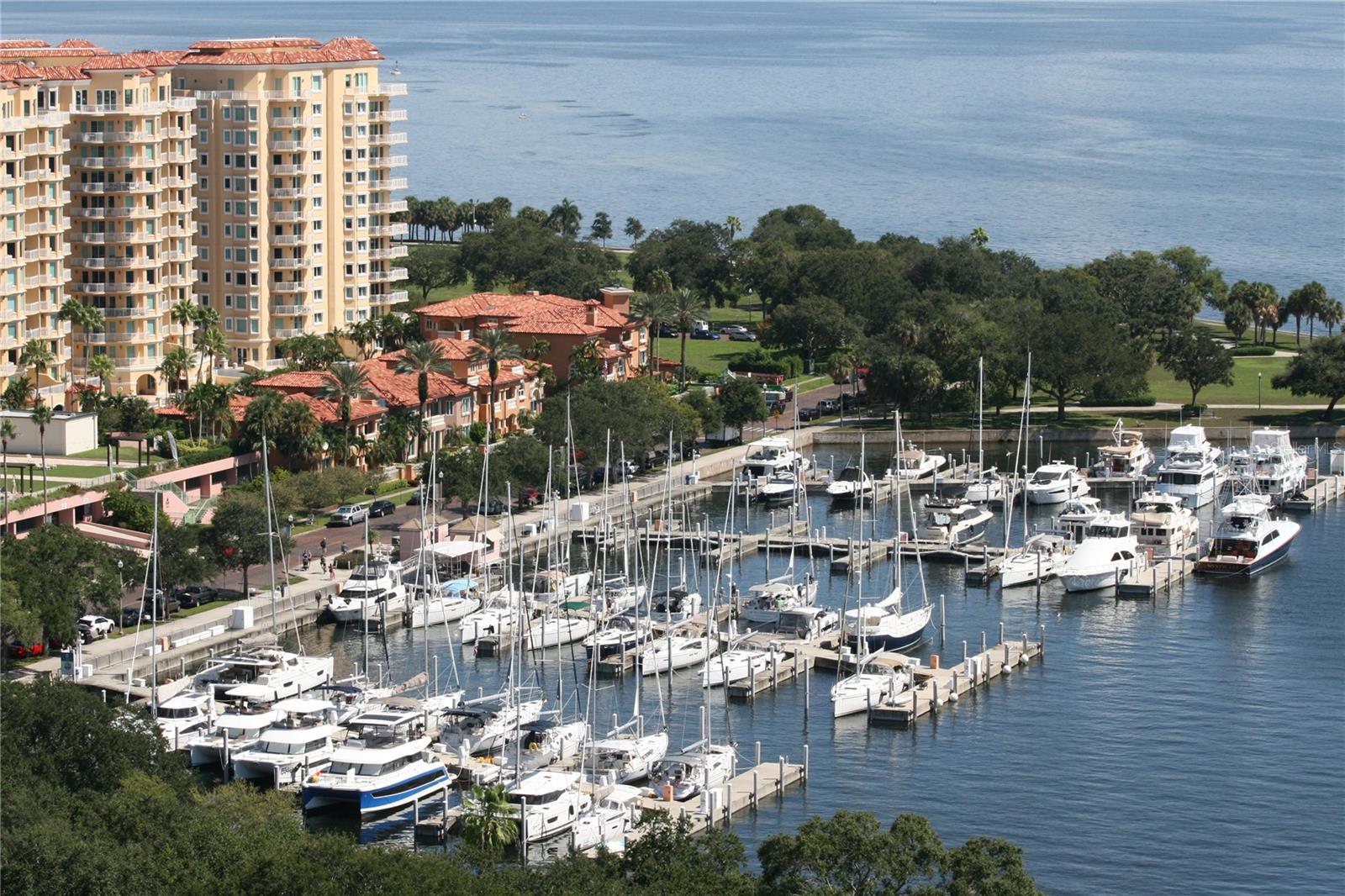 MADISON AT ST PETE - Residential Lease