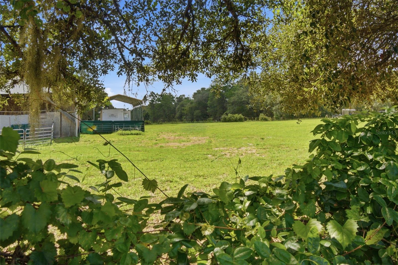 PINE HILLS - Residential