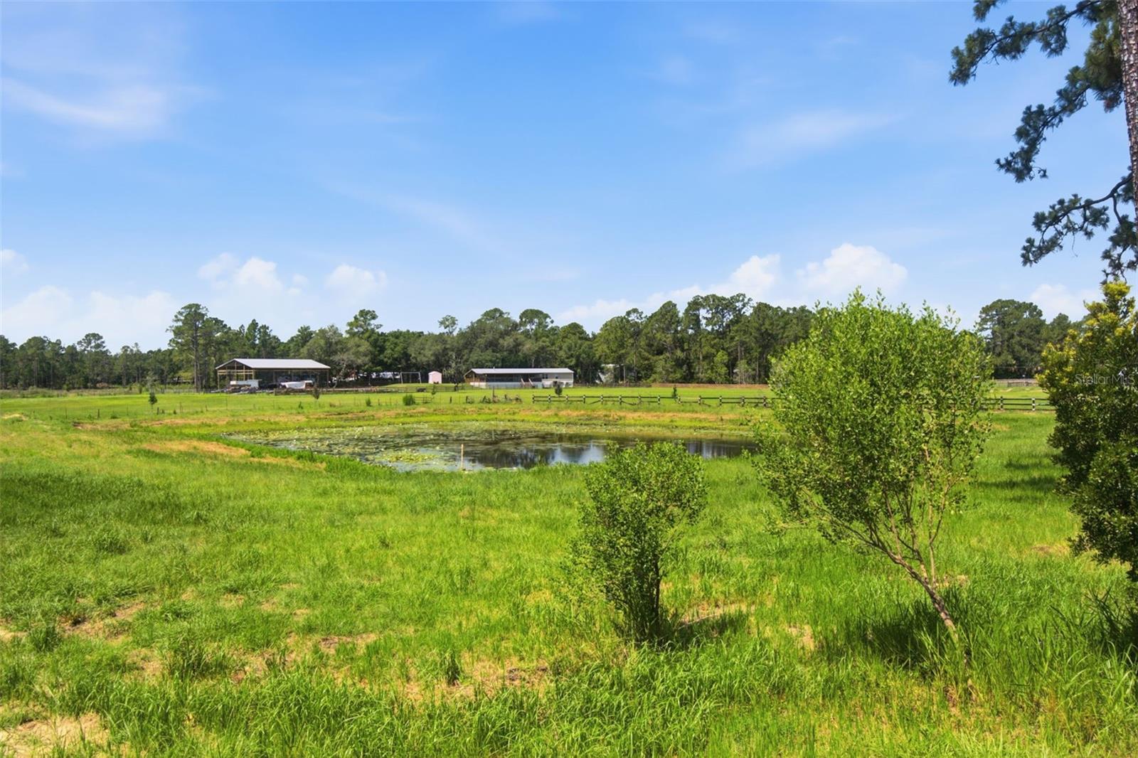 PINE HILLS - Residential