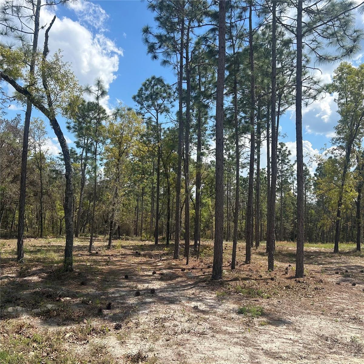 PRESERVE/OAK HILL - Land