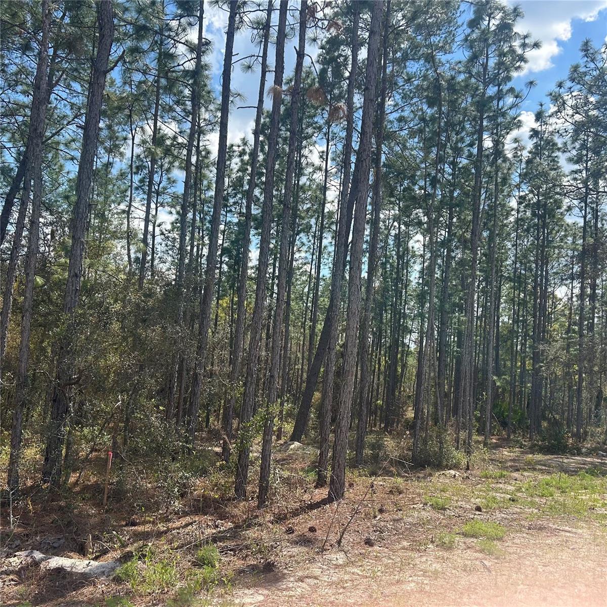 PRESERVE/OAK HILL - Land