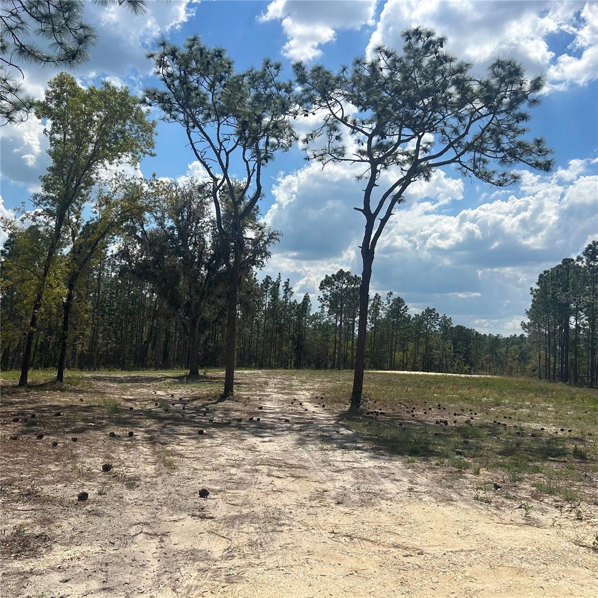 PRESERVE/OAK HILL - Land
