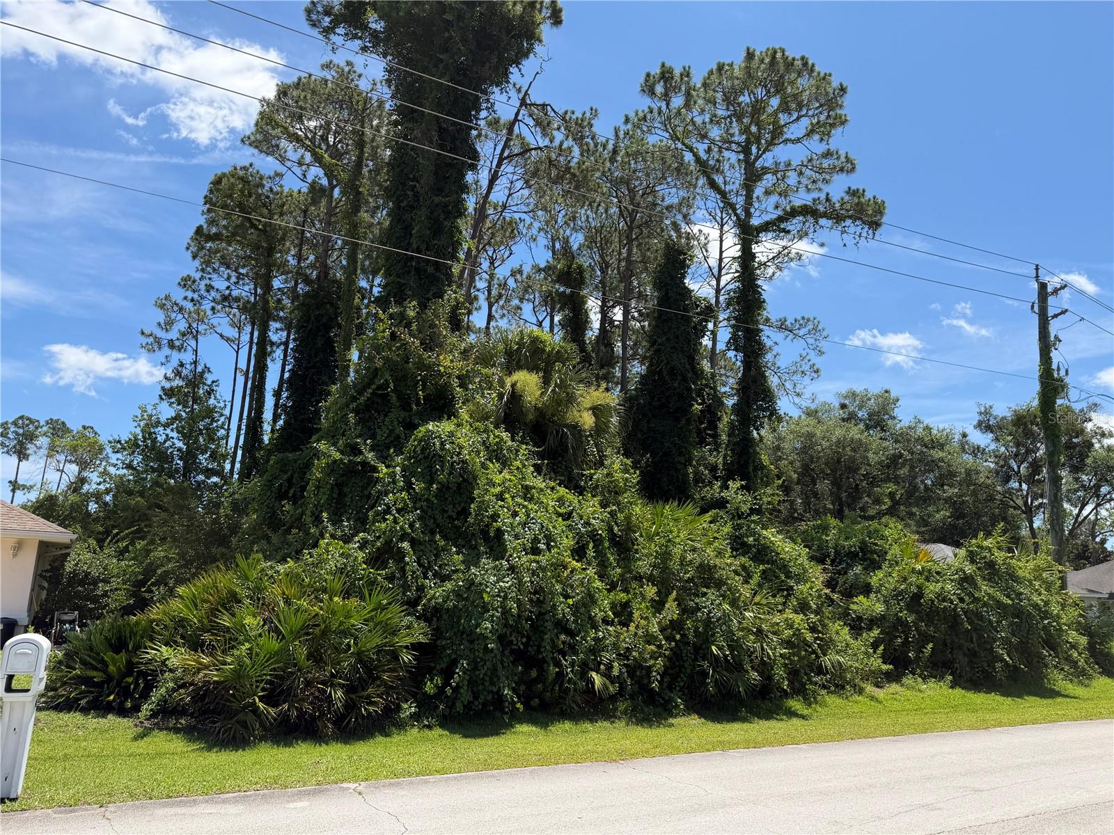 Build your dream home on this spacious 10,000-square-foot homesite located in a quiet, peaceful neighborhood. This dry lot offers a great opportunity to design and build the home you've always envisioned with the builder of your choice.

Enjoy the convenience of being just minutes from shopping centers, restaurants, schools, and major roadways, making everyday commuting and errands easy while still enjoying a tranquil residential setting. Whether you're planning your forever home or looking for a great investment, this well-located lot provides the perfect combination of privacy, accessibility, and potential.

Don't miss this opportunity to own land in a desirable area and build on your own lot!