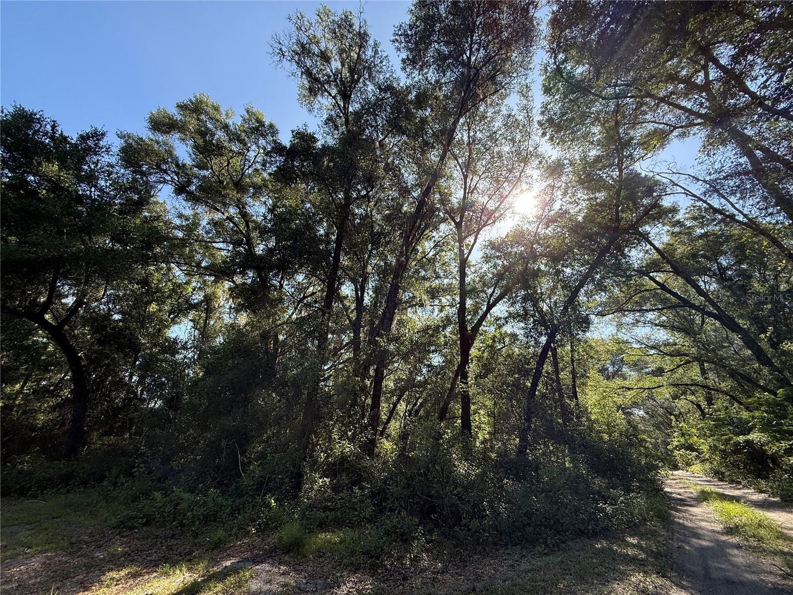 BELLEVIEW HEIGHTS ESTATE - Land