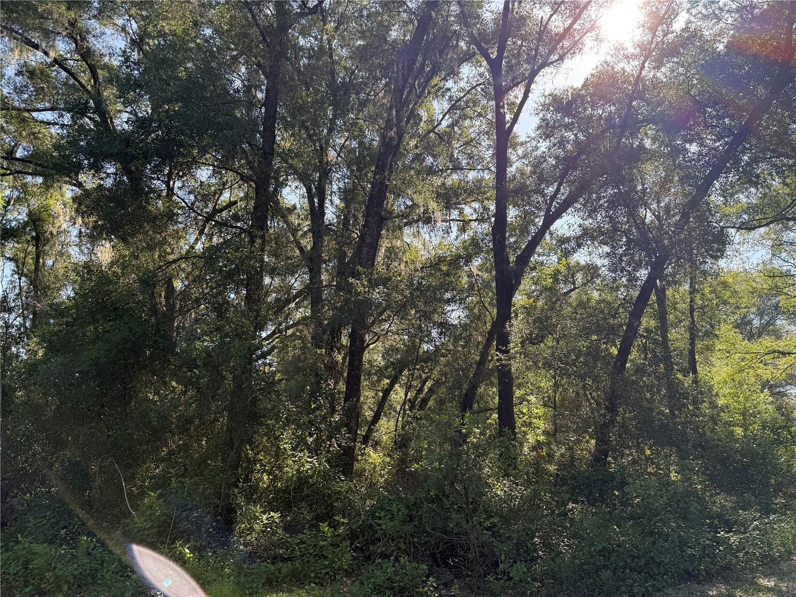 BELLEVIEW HEIGHTS ESTATE - Land