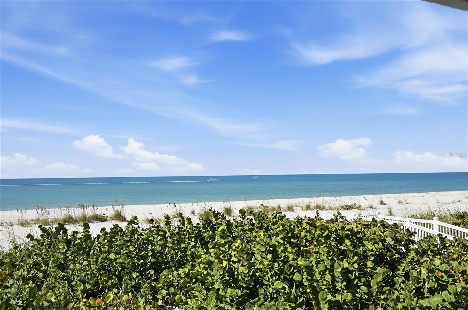 SEAGRAPE COLONY - Residential