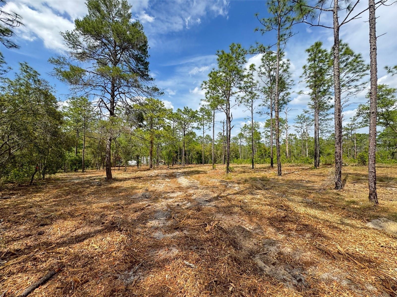 RAINBOW LAKES ESTATE - Land