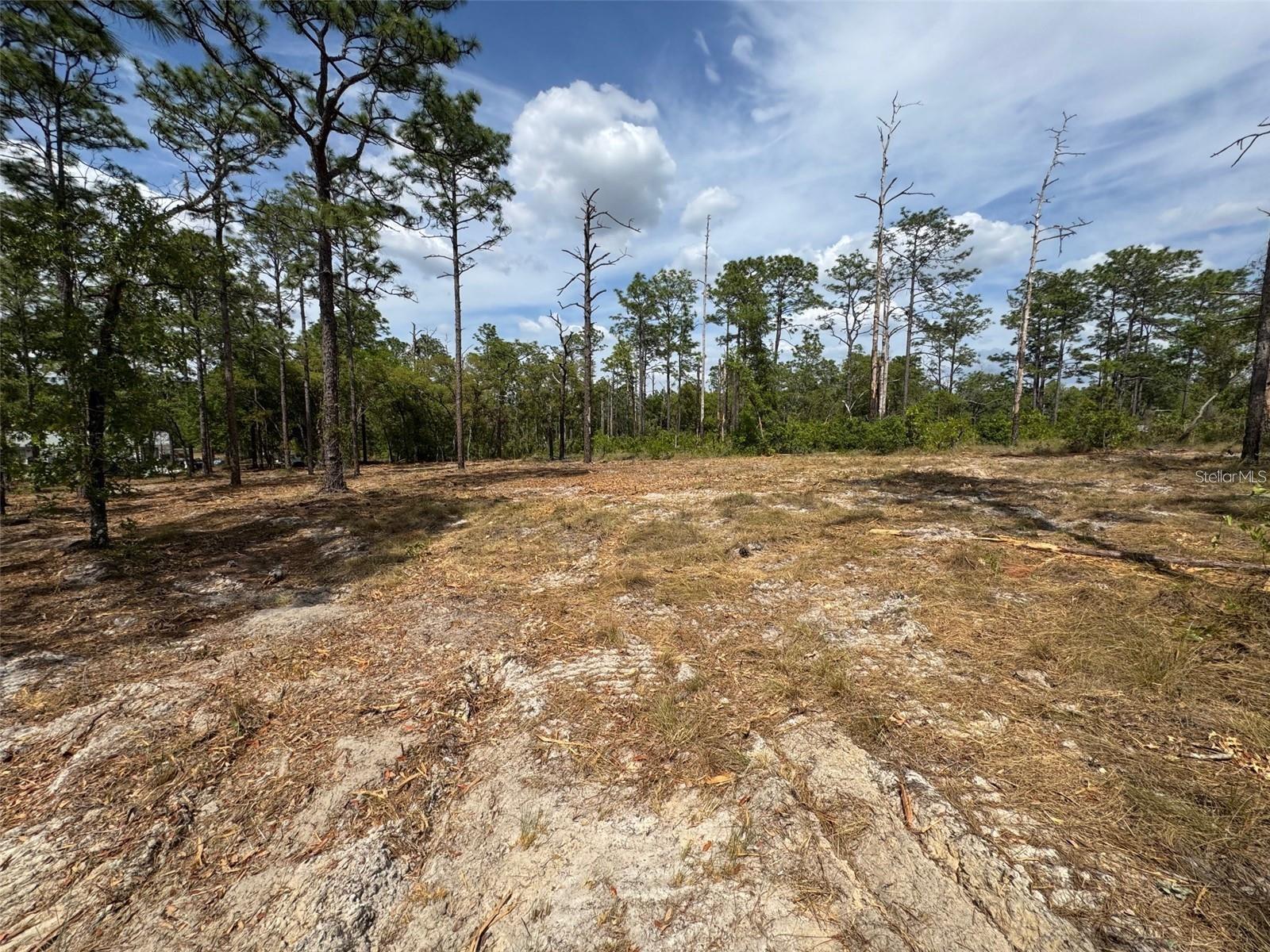 RAINBOW LAKES ESTATE - Land