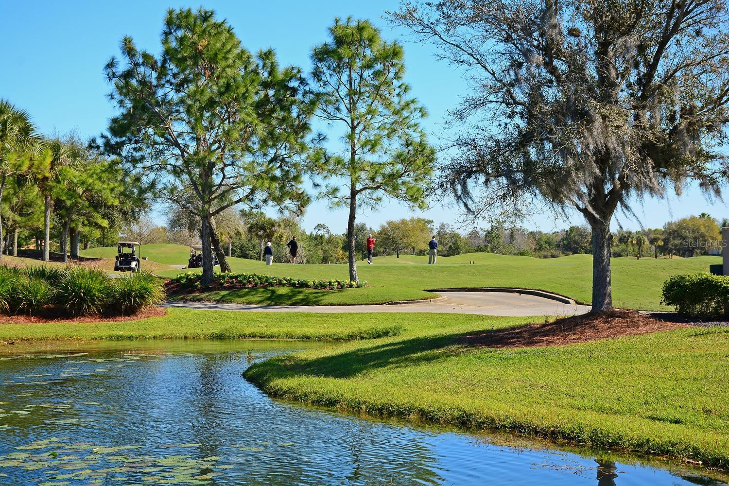 LAKEWOOD RANCH COUNTRY CLUB VILLAGE Q - Residential