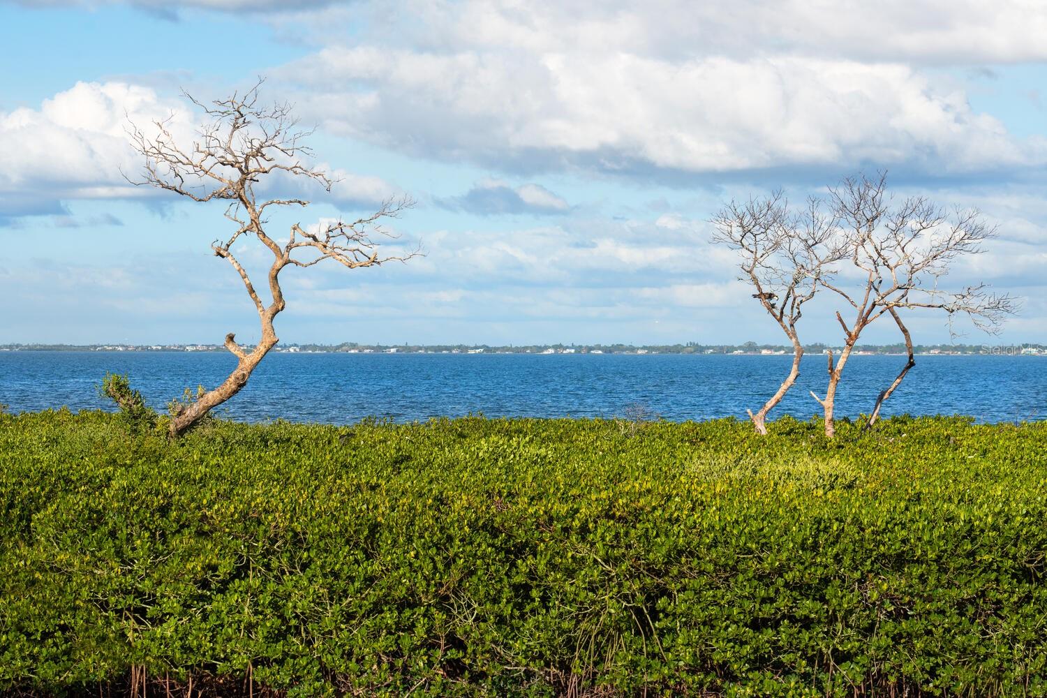 BAY ISLES - Residential