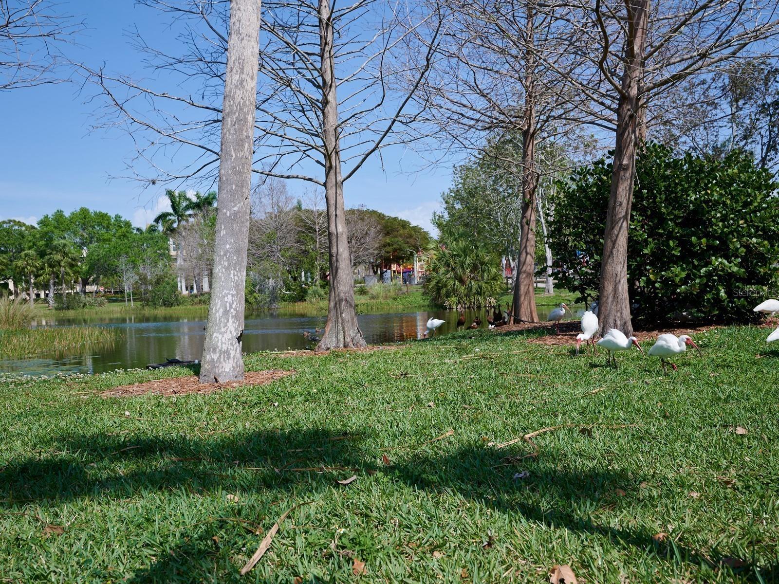 ENCLAVE/LAUREL PARK REP - Residential