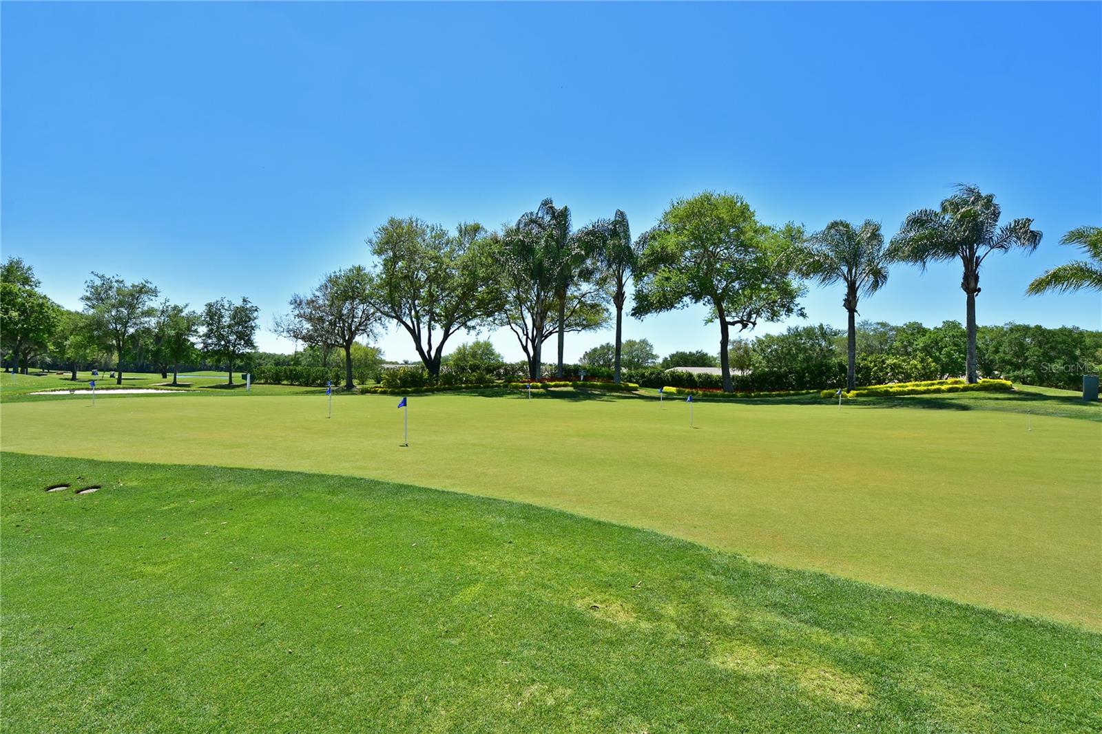 TWELVE OAKS I OF TARA - Residential