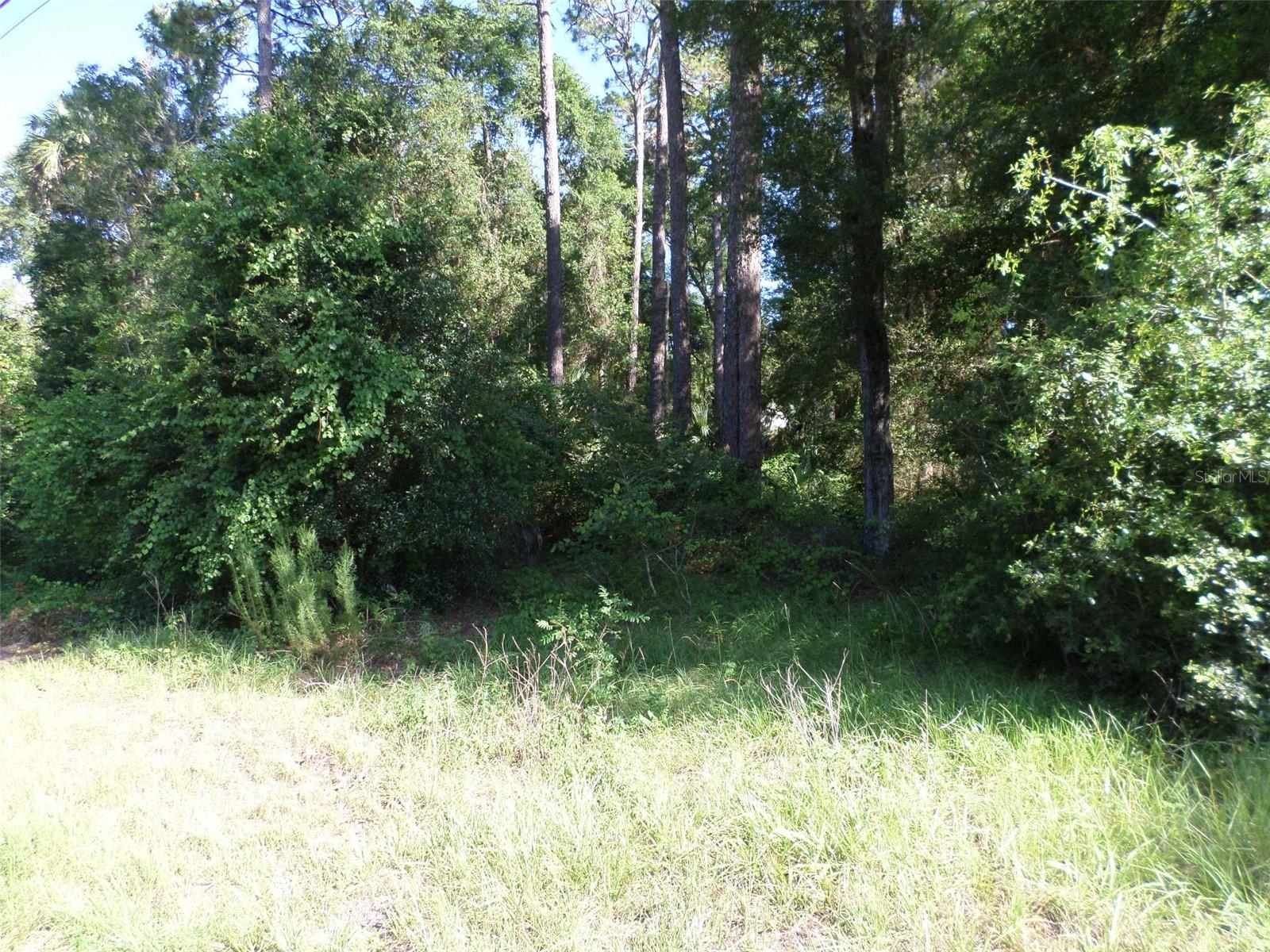 CORTLIN BUSINESS PARK - Land