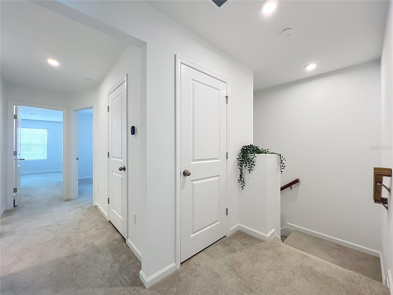 SPRING ISLE PALMS - Residential