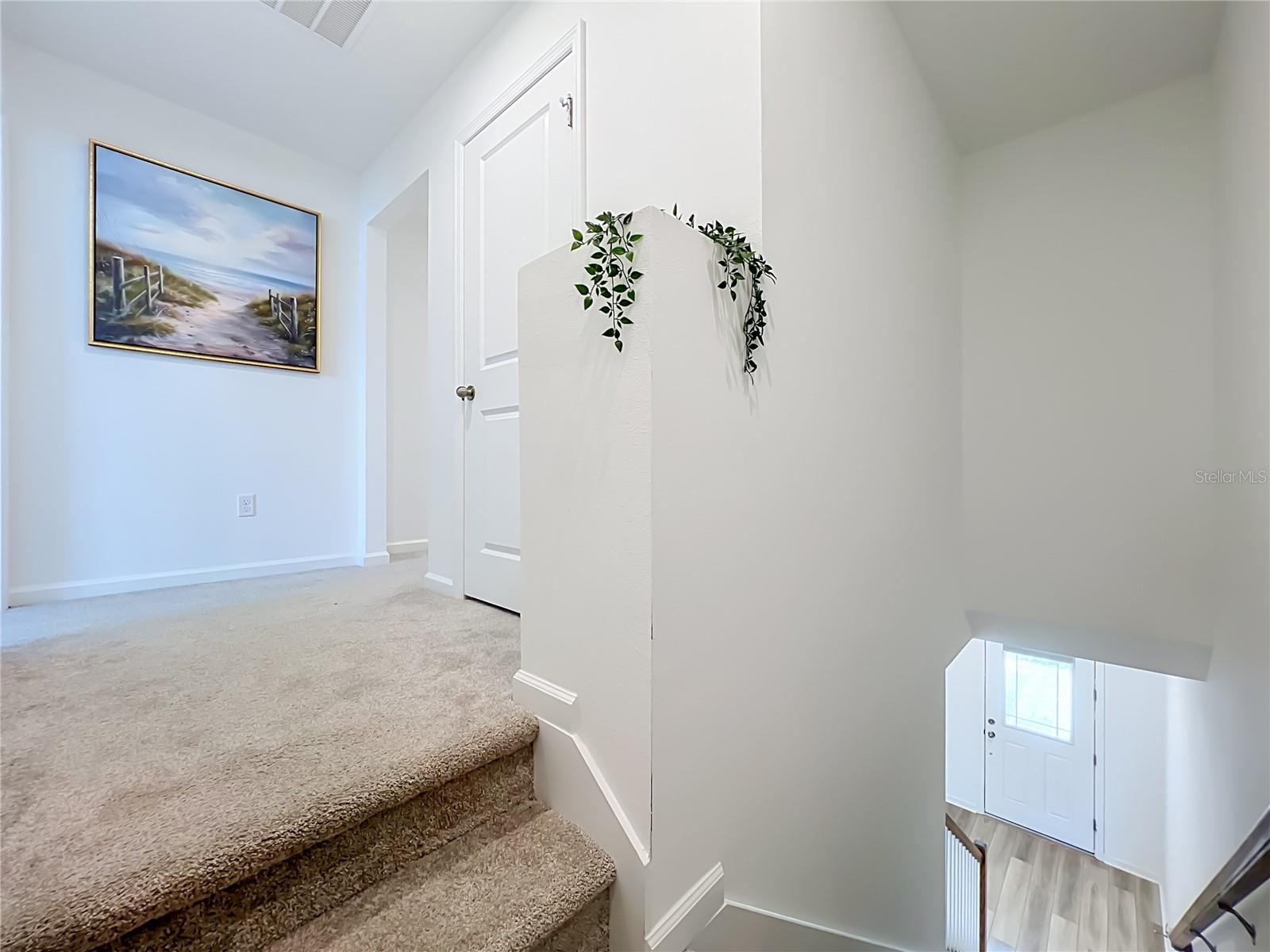 SPRING ISLE PALMS - Residential