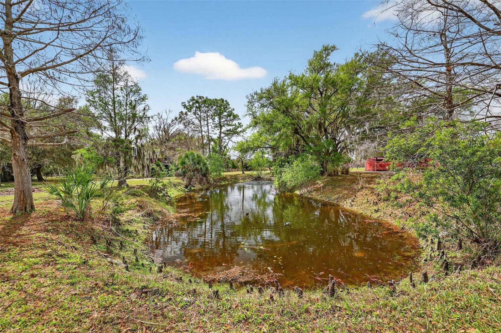 MYAKKA VALLEY RANCHES - Residential