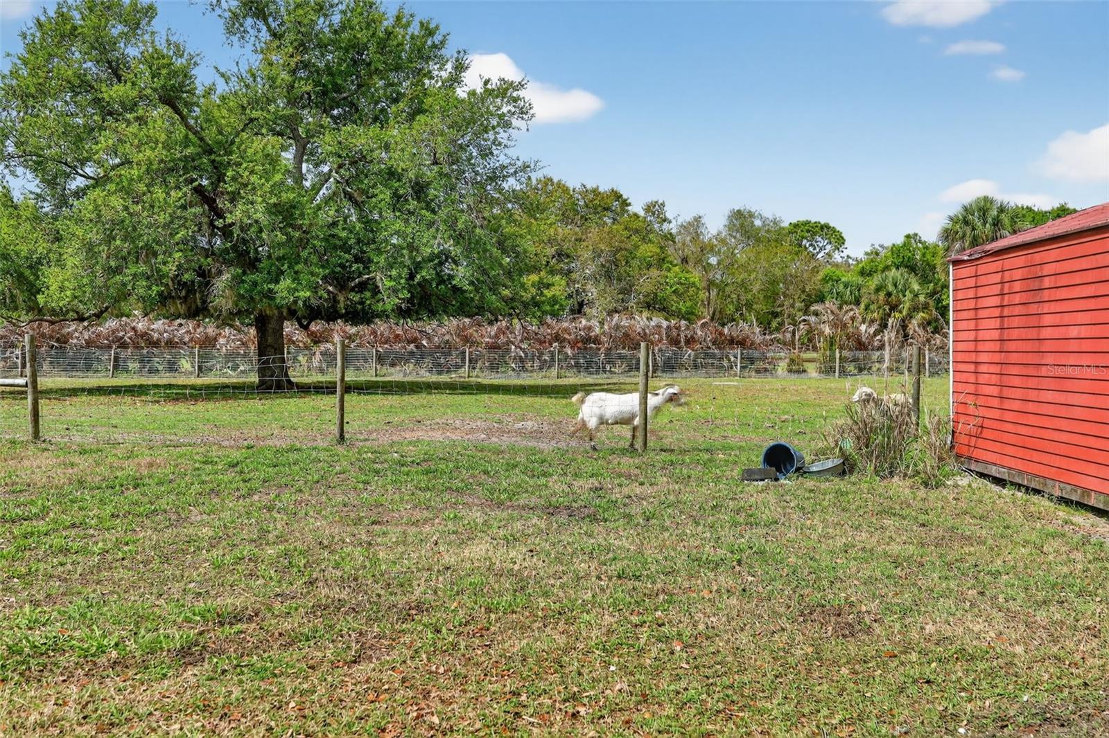 MYAKKA VALLEY RANCHES - Residential