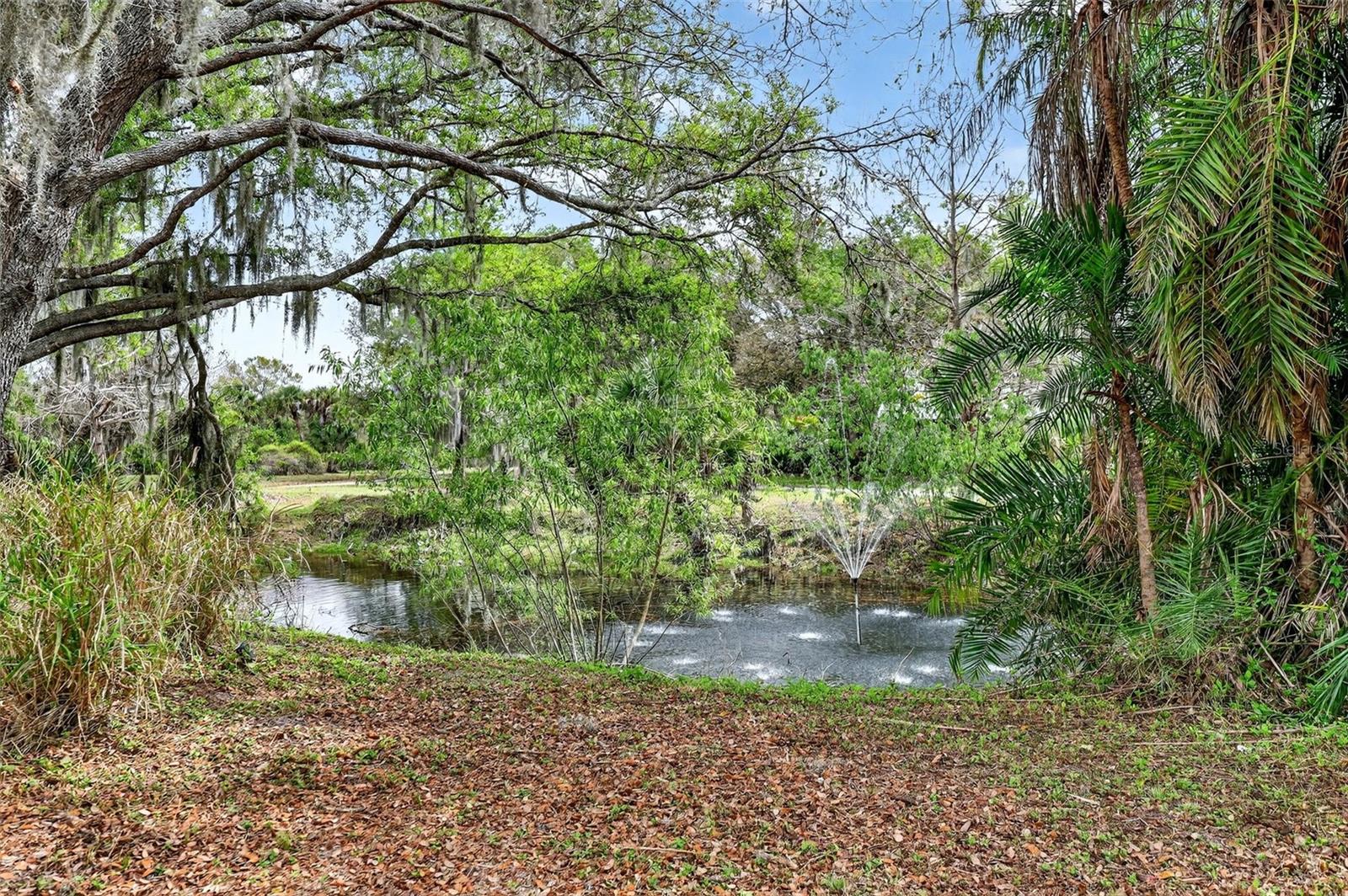 MYAKKA VALLEY RANCHES - Residential