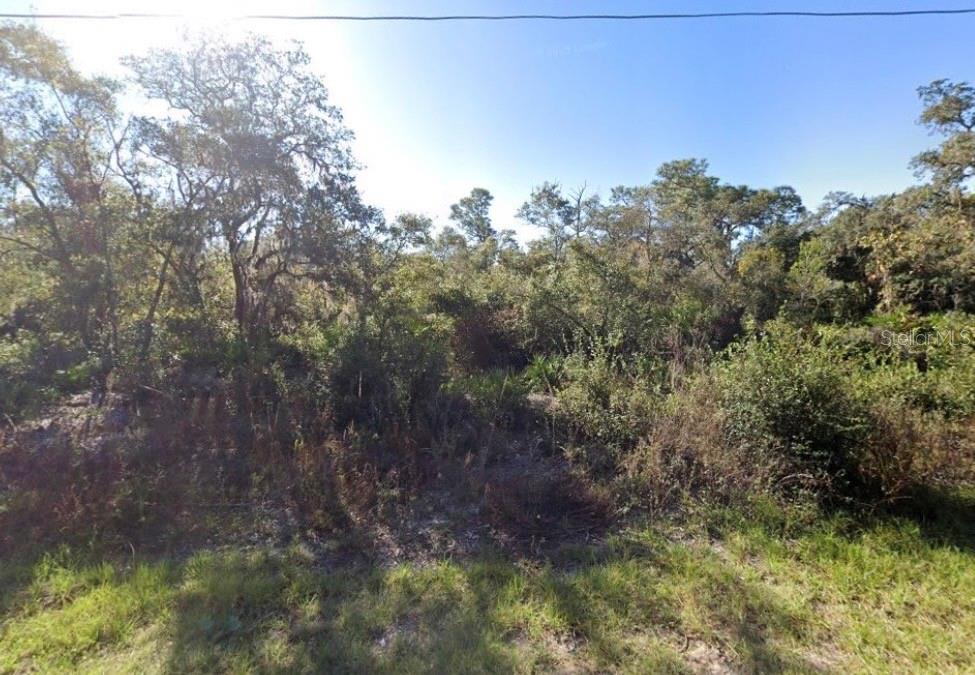 Discover the potential of this prime homesite located at 441 Vernon Court in the growing community of Poinciana. Whether you're looking to build a custom home, secure land for future development, or add to your investment portfolio, this property offers exceptional value and possibilities. With Central Florida continuing to experience population growth and housing demand, vacant land remains one of the area's most sought-after investment opportunities.
