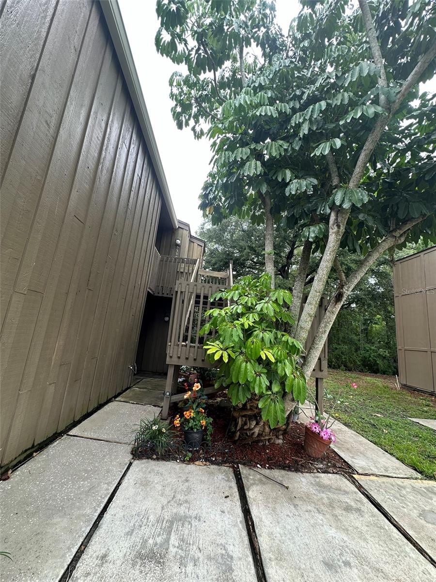 CYPRESS WOODS CONDO - Residential
