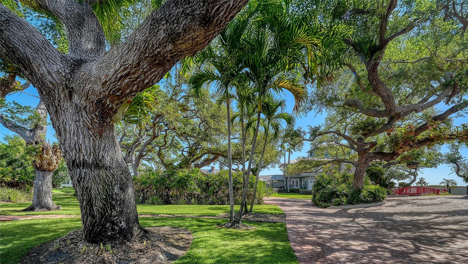 SIESTA PROPERTIES INC - Residential