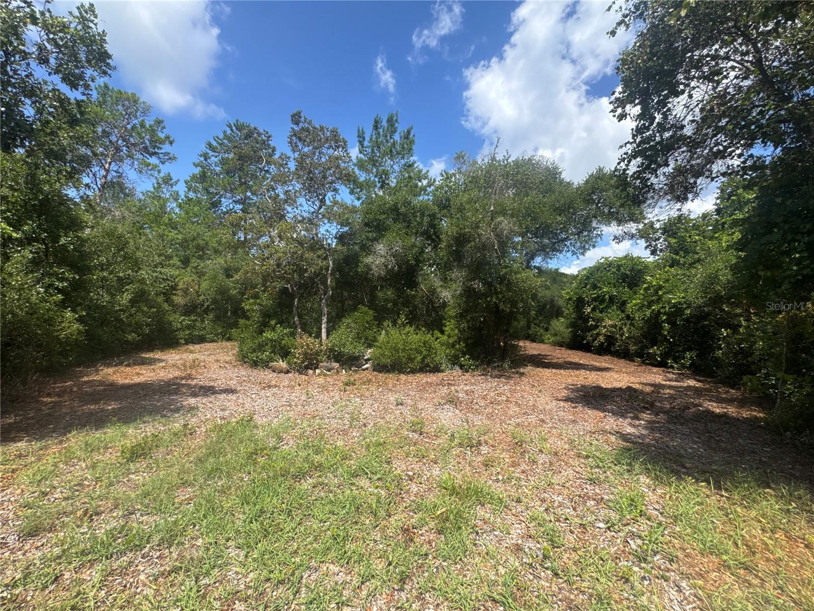 PINE VALLEY - Land