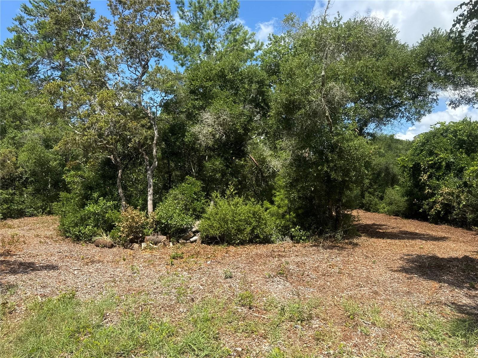 PINE VALLEY - Land