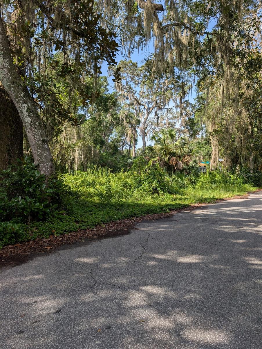 Beautiful corner lot in desirable location. Wooded and over a 1/4 acre. Paved street. No flood insurance required as it is in flood zone x. Zoned for residential use CLR. Come build your dream home in beautiful Citrus County. Recreational opportunities abound whether its fishing, kayaking, hiking, playing golf, or bird watching, this county has it all. Don't miss this opportunity to own a perfect home site. Some owner financing may be possible. All information deemed correct but buyer to do their own due diligence and verify.