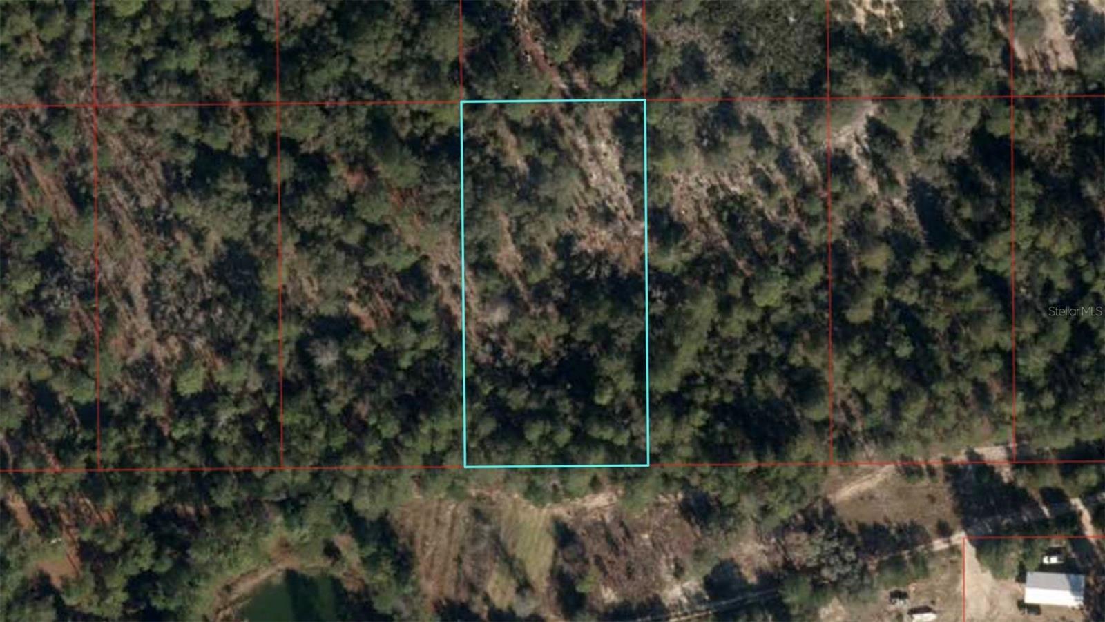 1.25-acre lot in affording the space for privacy with the convenience of nearby stores and restaurants. No HOA. 17 miles from Gainesville, 7 miles from Archer. Enjoy the beautiful scenery of  North Central Florida, with Bronson Blue Springs and Devil's Den Springs nearby. With no HOA restrictions, you can design your home your way add a garden, workshop, or plenty of room for outdoor living. Access to property needs to be cleared. Please don't drive through the neighbor's property.