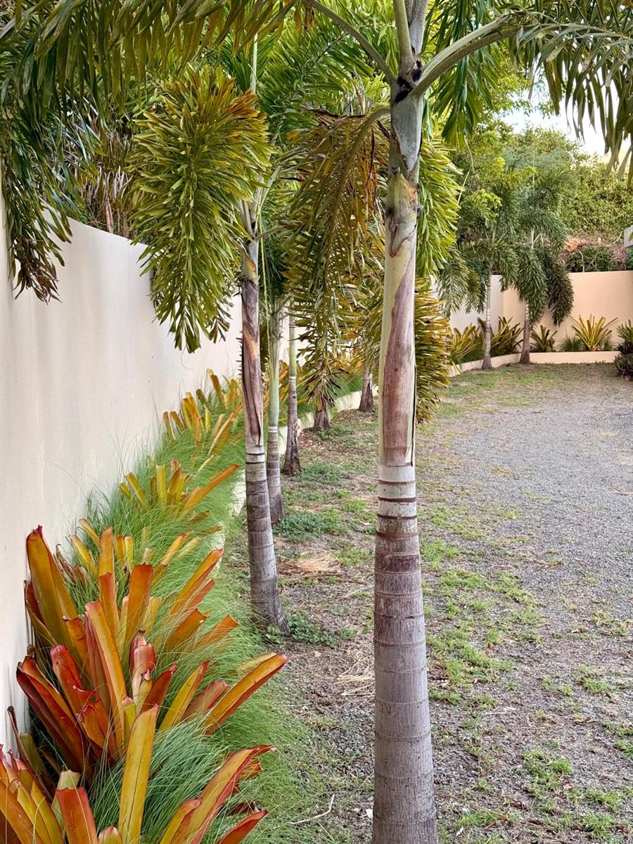 SECTOR LA HUECA - Residential