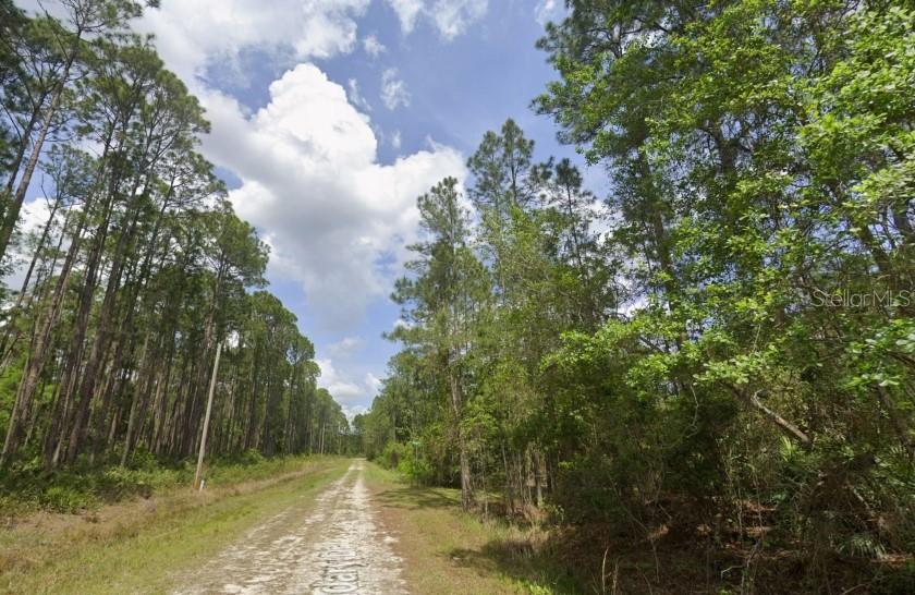 Welcome to Georgetown, Florida — a hidden gem near Lake George and the St. Johns River! This residential lot offers flexibility and freedom, with RV use allowed part-time, and no HOA restrictions.

Whether you're looking to build, bring a manufactured home, or use it as a recreational lake-area getaway, this property gives you the freedom to enjoy Florida life your way.