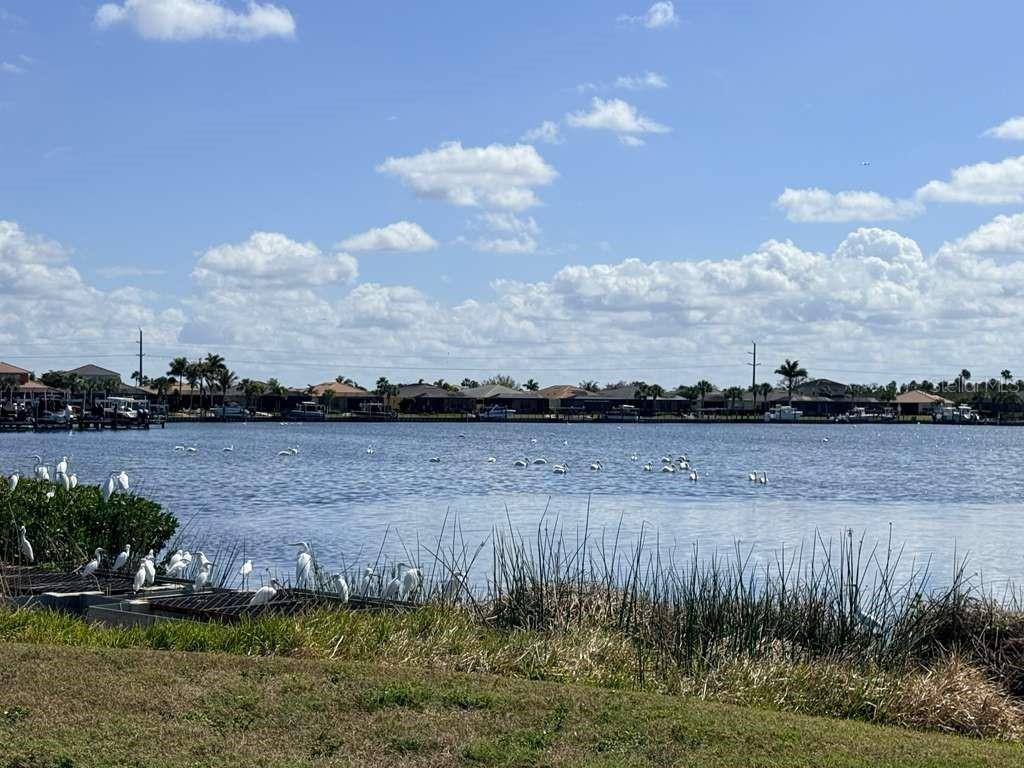 TIDEWATER PRESERVE PH I - Residential