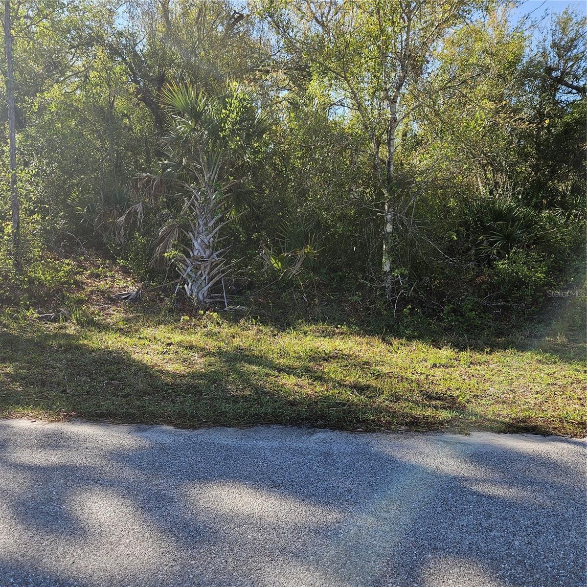 Check out this oversized lot for your new home build in North Port, Florida.
Close to schools, hospitals., shopping and dining.  Short drive to the local beaches, Warm Mineral Springs, Atlanta Braves Baseball Stadium, Wellen Park, Sunseeker Resort, Fort Myers and Sarasota.
The local builder research has been completed and ready to assist you in choosing a top quality builder for your site.
Additional lots available. Seller will consider package sales.