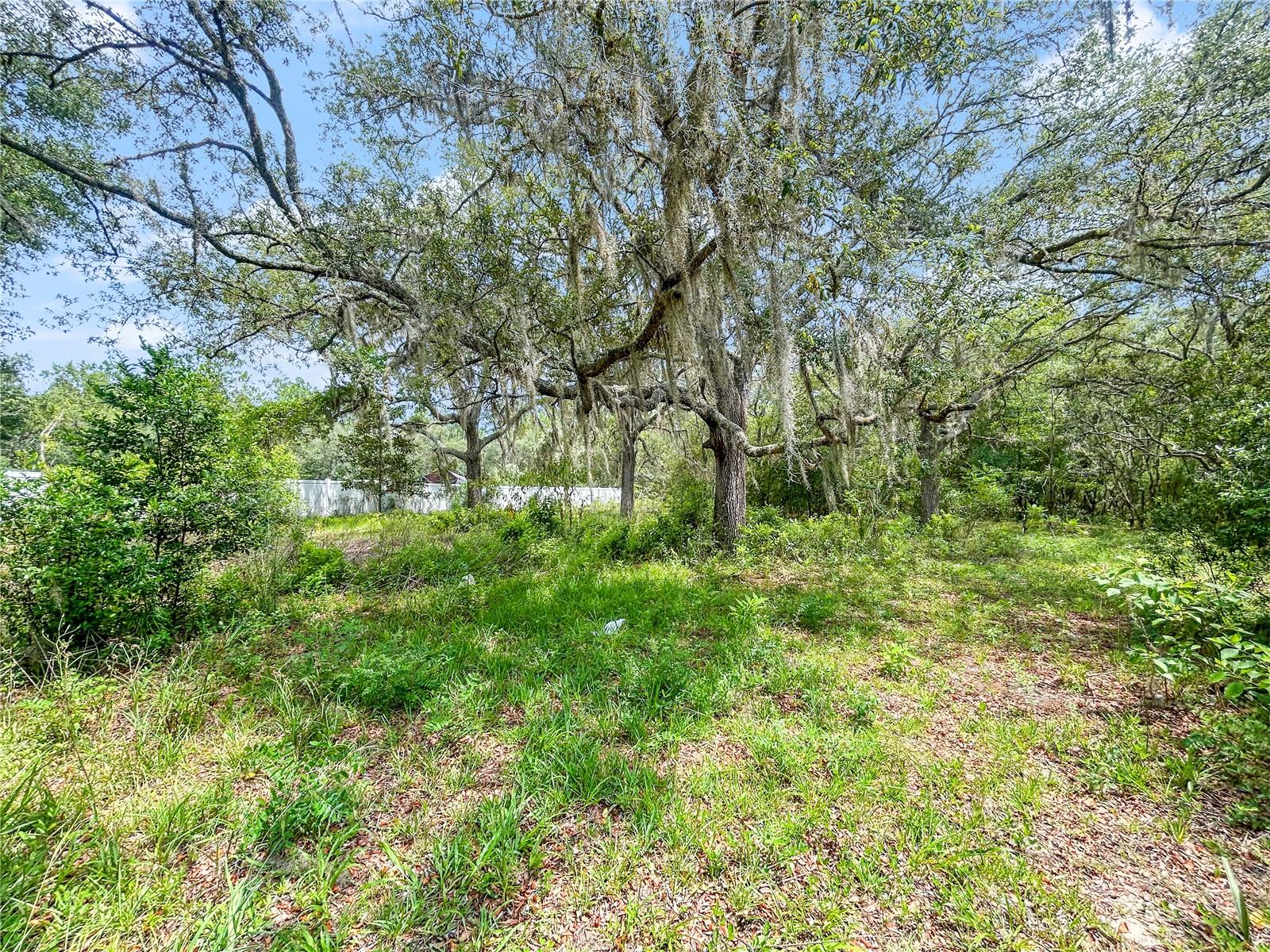 RAINBOW LAKE ESTATES - Residential