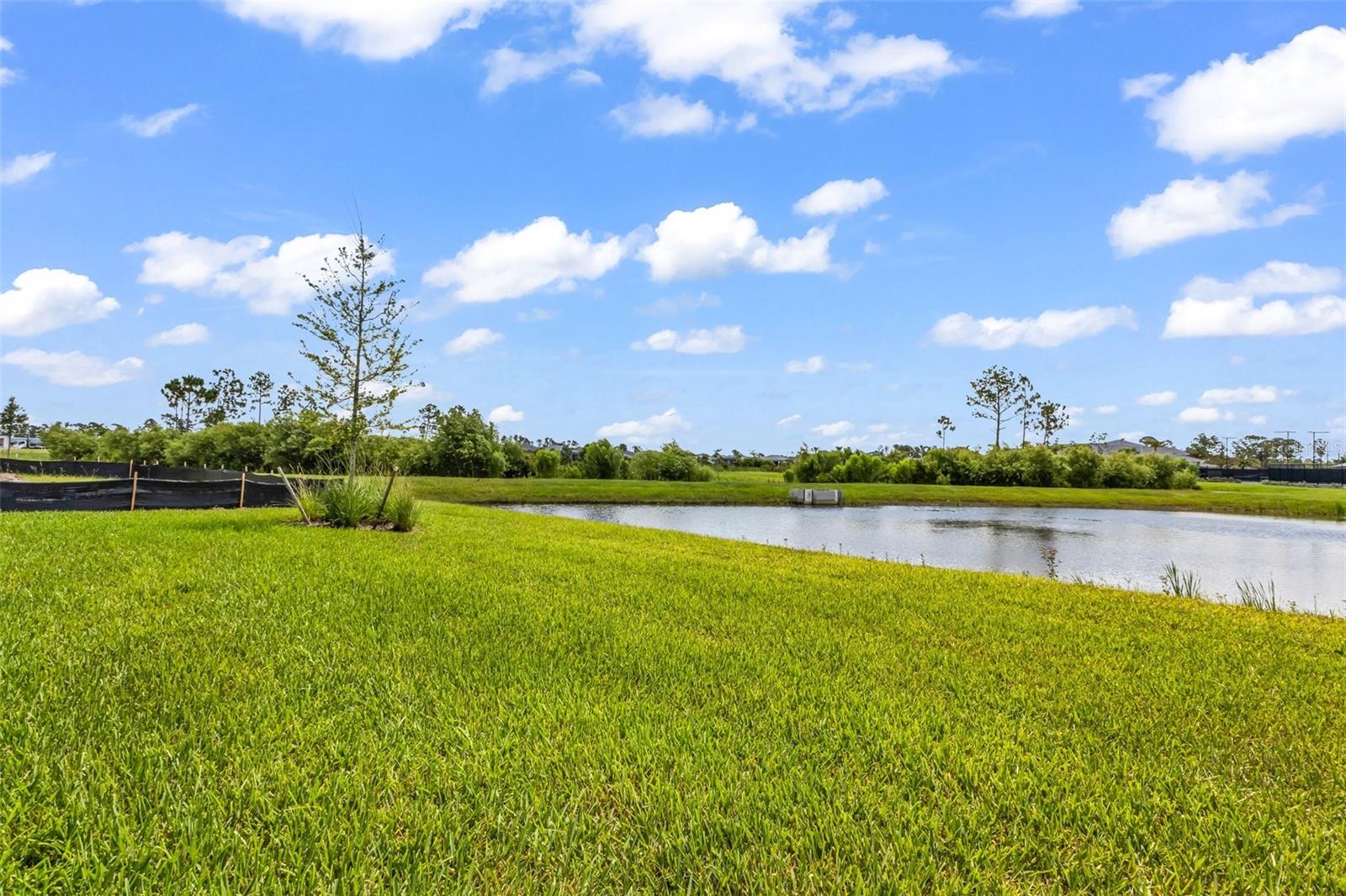 ARBOR OAKS/THE WOODLANDS - Residential
