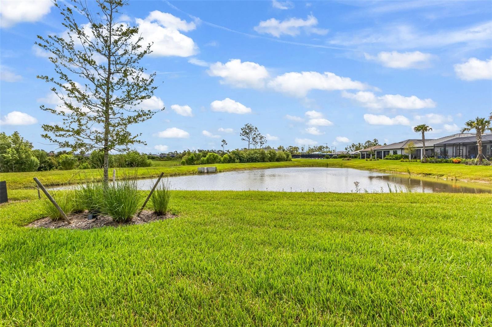 ARBOR OAKS/THE WOODLANDS - Residential