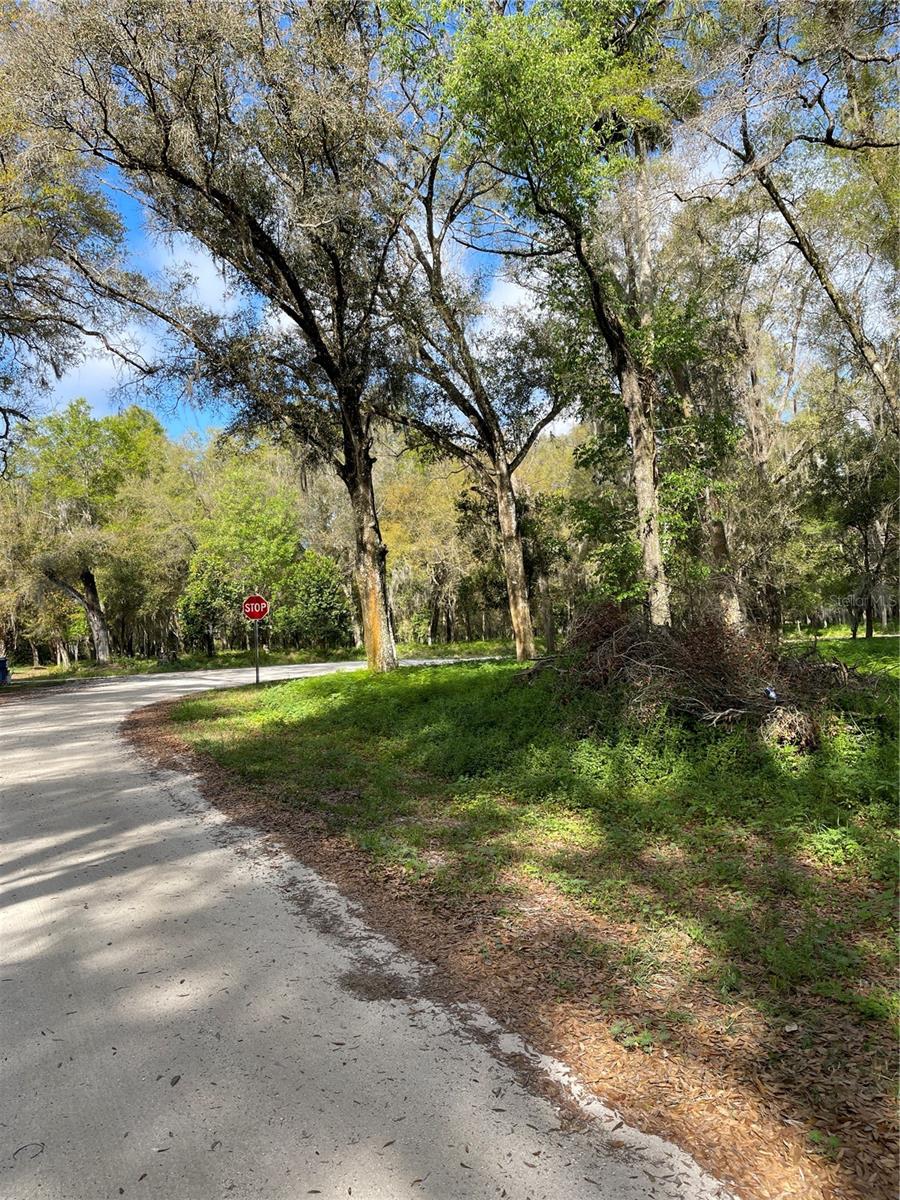 PRICE REDUCED $10,000, Owner is motivated! Vacant land, almost 10 acres on a cul-de-sac in rural community of Seville. Homes down the street, and farmland too; close to Lake George with water sports & fishing. In years past, there was a fernery under the branches of stately oak trees (irrigation can be seen throughout property, unknown if well is functional). What a lovely area to build your dream home in an agricultural setting! On corner of W. Cherry St. and Causey Lane, off Hwy. 17 in Seville. Only 45 minute drive to Flagler or Ormond Beach to enjoy the waves!